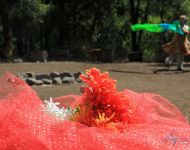 gallery DancingtheLight