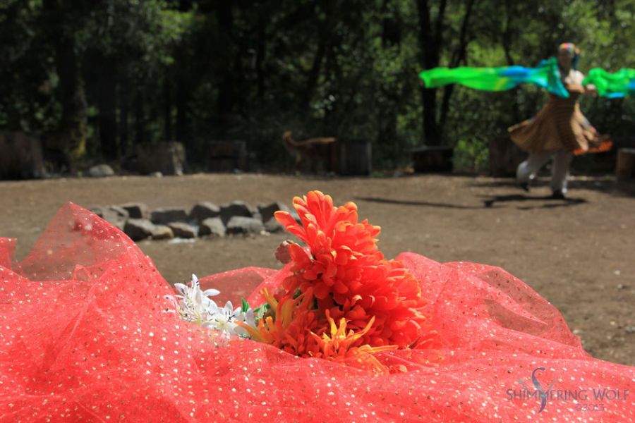 gallery DancingtheLight