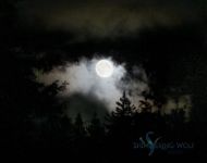 gallery EquinoxMoon2013